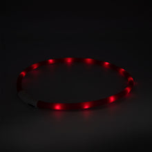 Laden Sie das Bild in den Galerie-Viewer, Hundehalsband LED Leuchthalsband Leuchtband Wasserdicht Kürzbar Aufladbar USB
