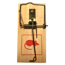 Laden Sie das Bild in den Galerie-Viewer, Mausefallen Holz Mausefalle Set Falle Schlagfalle Tierfalle Maus fangen Mäuse Set