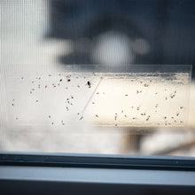 Laden Sie das Bild in den Galerie-Viewer, Fliegenfalle Fenster Leimfalle Fensterfalle Insektenschutz Insektenfalle Set
